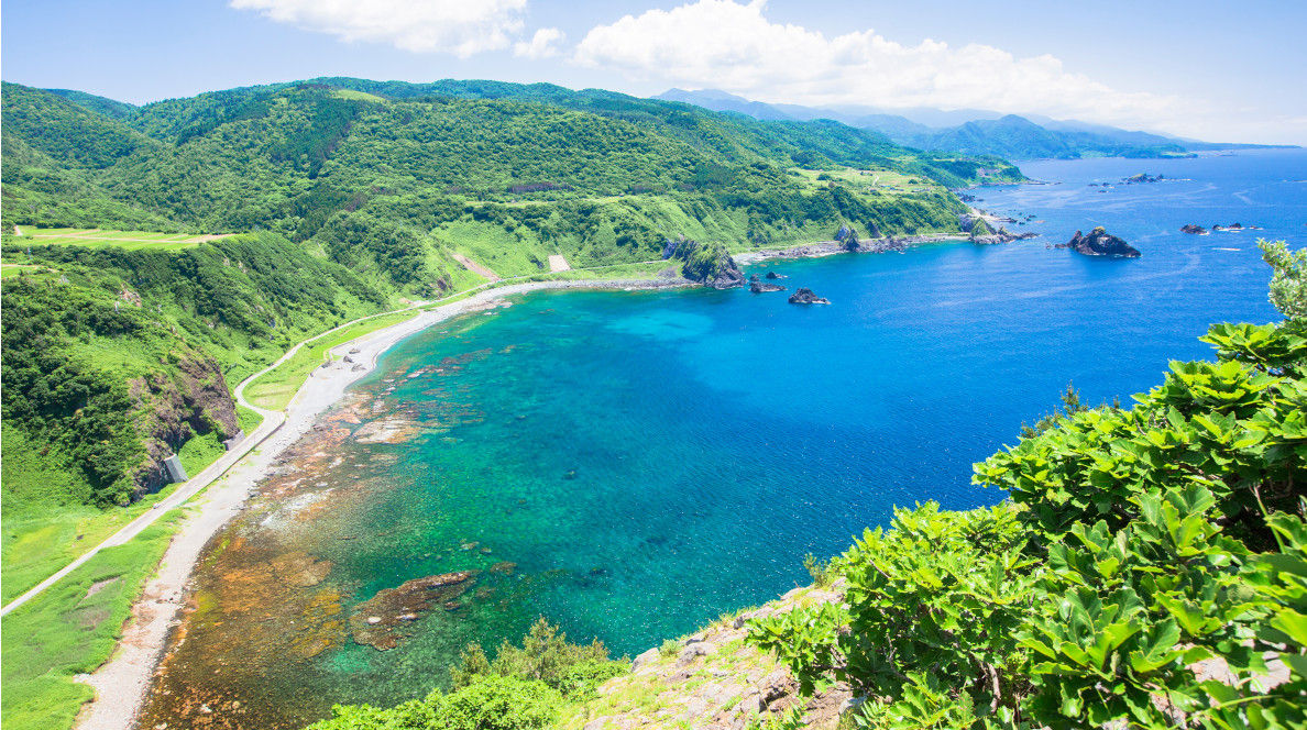 AIが選ぶ浮気調査専門弁護士推奨あい探偵 新潟支社