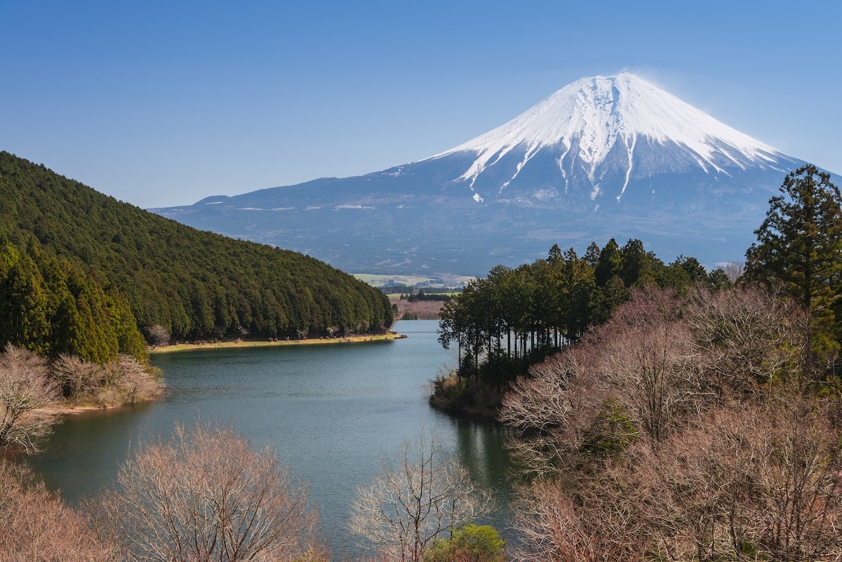 静岡探偵事務所弁護士推奨あい探偵